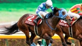 重賞2勝のワンダフルタウンが登録抹消 今後は乗馬となる予定