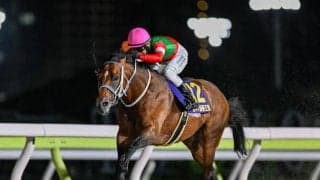 今年の帝王賞覇者キングズソードが左前浅屈腱炎を発症 9か月以上の休養を要する見込み