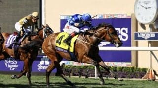 【BCジュベナイルターフスプリント】C.キーン騎手「進路取りもうまく行った」マグナムフォースがG1初制覇