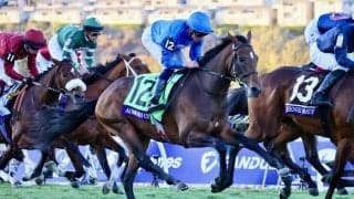 【BCジュベナイルターフ】アオモリシティーが3着…ビュイック「ゲートの状況が違えば…」