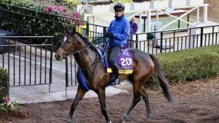 【BCディスタフ】オーサムリザルトが出走取消