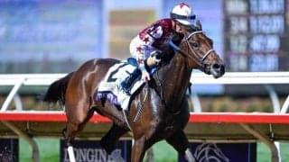 【米・BCディスタフ結果】ソーピードアンナがGI・5勝目 日本のアリスヴェリテは4着