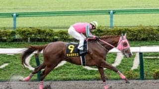 【みやこS予想】チャンピオンズCへの切符を手に入れるのは？ 最後に脚を使えるかがカギを握る