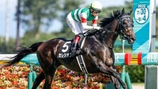 【AR共和国杯予想】攻略のカギは“2度の坂”への適性 東京芝2500mの名物重賞