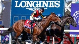 【米・BCターフ結果】レベルスロマンスが2度目のBCターフ制覇 ローシャムパーク2着、シャフリヤール3着