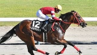 【米・BCスプリント結果】ストレートノーチェイサーがV 日本勢は着外