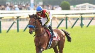 【AR共和国杯予想】上位7頭ボックスでも回収率プラス!? 過去データから探るGIIハンデ重賞