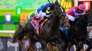 【米・BCマイル結果】モアザンルックスがV テンハッピーローズ4着健闘、ジオグリフ5着