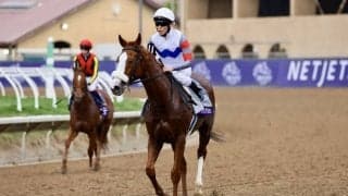 【BCマイル】津村「夢を見ました」テンハッピーローズは惜しくも4着…モアザンルックスがV