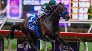 【米・BCダートマイル結果】フルセラーノが好位抜け出しV 日本のテーオーサンドニは9着