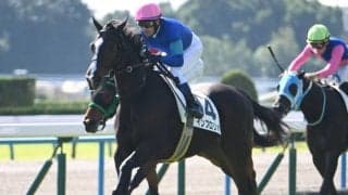 【京都4R新馬戦結果】アドマイヤムーン産駒インブロリオが人気に応えてV