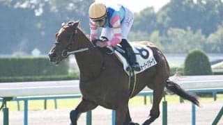 【京都5R新馬戦結果】ウォータークラークが抜け出しV ウォータービルド産駒のJRA初勝利