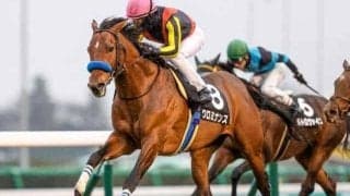 【AR共和国杯・馬体重】クロミナンスは484kg(±0)、セレシオンは462kg(-10)