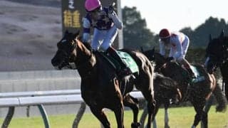 【みやこS結果】唯一の3歳馬サンライズジパングが差し切り重賞2勝目