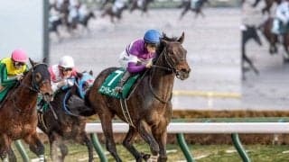 【武蔵野S】エンペラーワケア、ペイシャエスらが登録