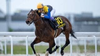 【JBCクラシック】武豊ノットゥルノは5枠5番へ