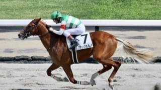 【JBC2歳優駿】戸崎騎乗 グランジョルノは7枠8番へ