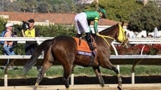 【BCクラシック】高木師「気持ちが乗ってこない」ウシュバテソーロは10着