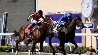 【BCターフ】アップルビー師「特別な馬」レベルスロマンスが2年ぶり2勝目