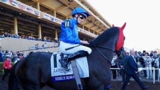 【BCターフ】ビュイック「素晴らしい馬」レベルスロマンスが2年ぶりV