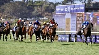 【BCターフ】C.デムーロ「少し小回りがきつかった」シャフリヤール2年連続の3着