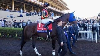 【BCターフ】田中博師「本当勝ちたかった」ローシャムパークは素晴らしい伸びで2着