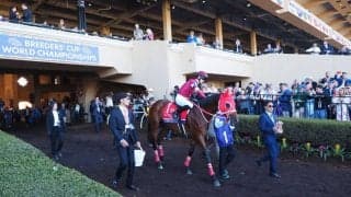 【BCクラシック】坂井瑠「上位2頭は強かった」フォーエバーヤングは3着