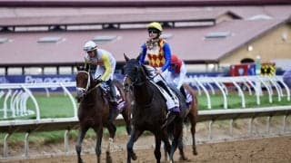 【BCダートマイル】高柳大輔師「苦しい競馬になった」…テーオーサンドニは9着