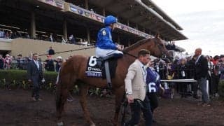 【BCマイル】ノータブルスピーチは3着まで…ビュイック「ヨハネスについていった」