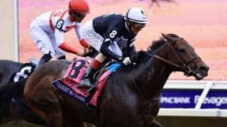 【BCスプリント】ヴェラスケス騎手「誇りに思います」ストレイトノーチェイサーが抜け出す