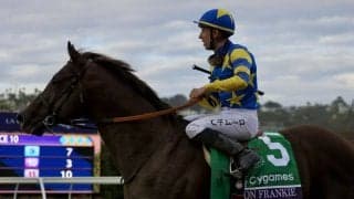 【BCスプリント】斉藤崇師「状態は良かったのですが…」ドンフランキーは9着