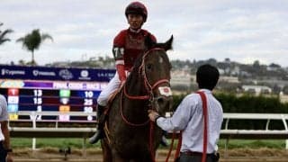 【BCスプリント】菅原明「リズムが良くなかった」…メタマックスは8着