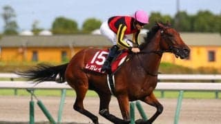 【エリザベス女王杯登録馬】レガレイラなど19頭