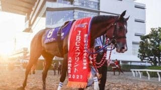 【今日の注目ポイント】門別競馬×佐賀競馬 北から南まで日本縦断の「JBC」