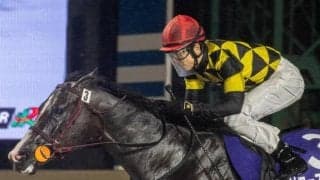 【門別・JBC2歳優駿注目馬】昨年はフォーエバーヤングがここから世界へ 中央・地方から素質馬が集結