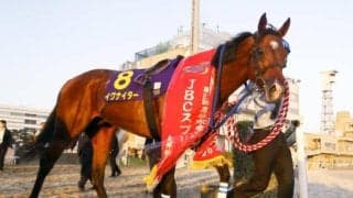 【佐賀・JBCスプリント注目馬】重賞勝ち馬が数多く出走 豪華メンバーで争われる砂の短距離王者決定戦