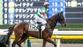 【デイリー杯2歳S見どころ】末脚鮮やかだったロンドボスの決め手に注目