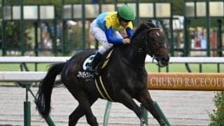 【福島記念見どころ】初コースでも舞台合いそうなフライライクバードが混戦を断つ