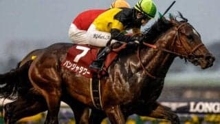 【京王杯2歳S】売上は32億6615万2600円で昨年より約2.7億円増加