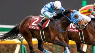 【先週のJRA抹消馬】重賞2勝のワンダフルタウン、19年京成杯覇者ラストドラフトなど
