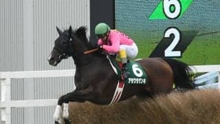 京都JS想定騎手8頭 アサクサゲンキは小牧加矢太騎手、スマイルスルーは高田潤騎手