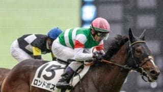 デイリー杯2歳S想定騎手10頭 ロンドボスはCデムーロ騎手、ロヴィーサは幸英明騎手