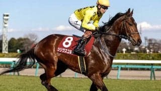 【福島記念想定騎手】シリウスコルトは高杉吏麒騎手、フライライクバードは西村淳也騎手