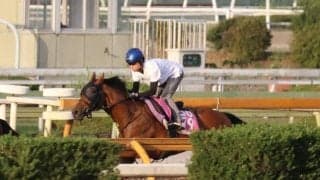 みやこS制したサンライズジパングの半妹 サヴォンリンナが今週末初陣/関西馬メイクデビュー情報