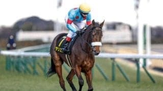 【AI予想・エリザベス女王杯】非根幹距離が舞台となる女王決定戦！  本命候補は適性感じる3頭