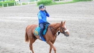 中山記念勝ちマテンロウスカイの半妹 ルージュナリッシュが土曜東京で初陣/関東馬メイクデビュー情報