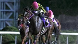 【佐賀・ネクストスター佐賀結果】ミトノドリームが断然人気に応えて4馬身差圧勝！
