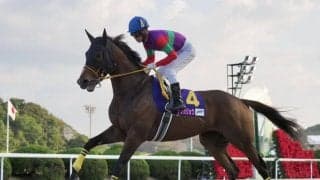 【JBCレディスクラシック】国分優「ちょっとずつどっしりしてきた」テンカジョウは3着