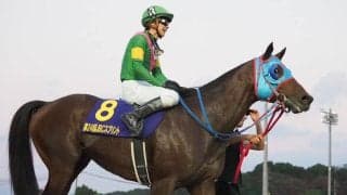 【JBCスプリント】石橋脩「感謝しかない」タガノビューティーが交流G1初制覇