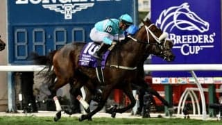 【BCフィリー＆メアターフ】勝利したモイラ、今後はセリに出品の予定